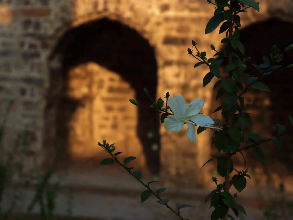Qutb Shahi Tombs beautiful view
roadtripsofindia.com