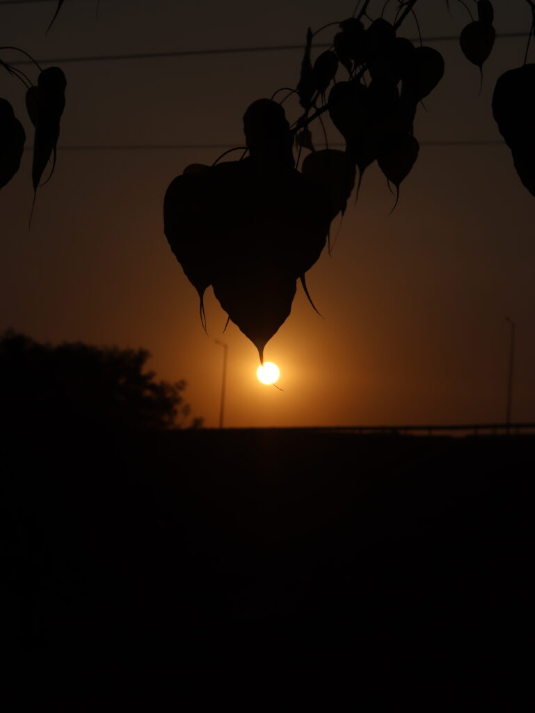 sunset in kondapochamma sagar reservoir roadtripsofindia