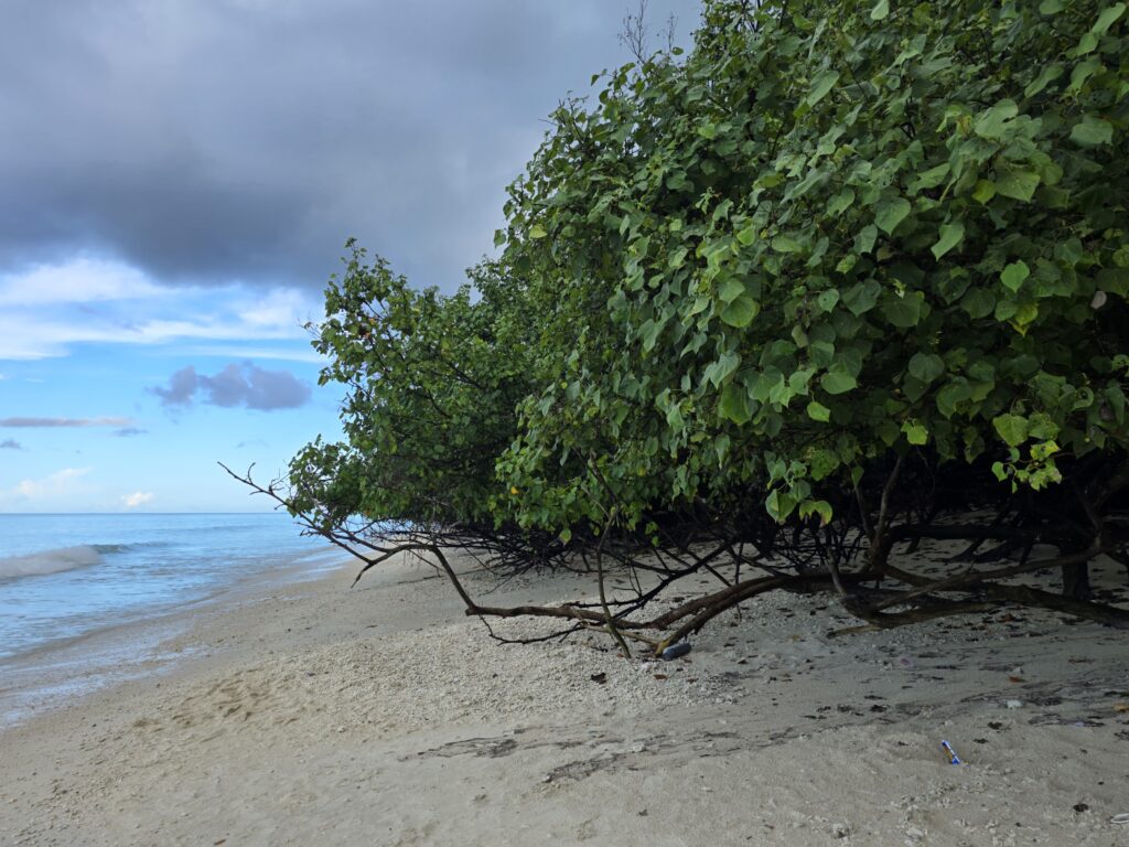 Chidiyatapu Beach - andaman and nicobar islands roadtripsofindia