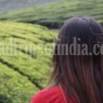 ooty sightseeing places roadtripsofindia.com