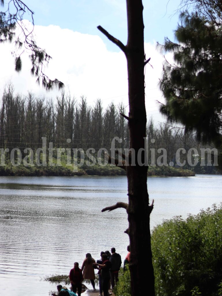 Ooty Lake,
roadtripsofindia.com