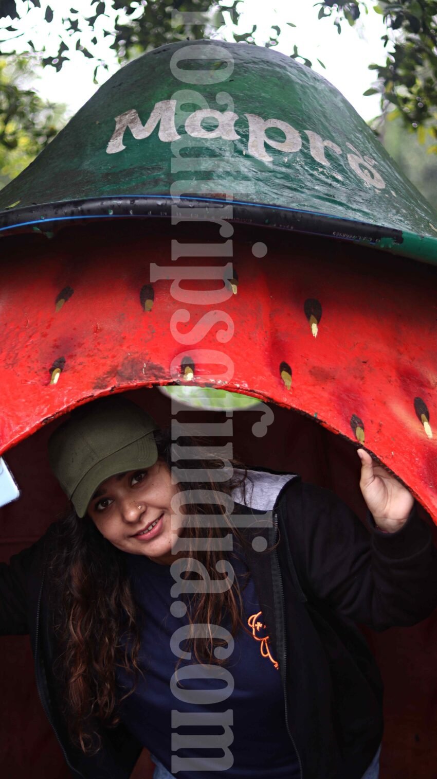 Things to Do in Mahabaleshwar roadtripsofindia.com