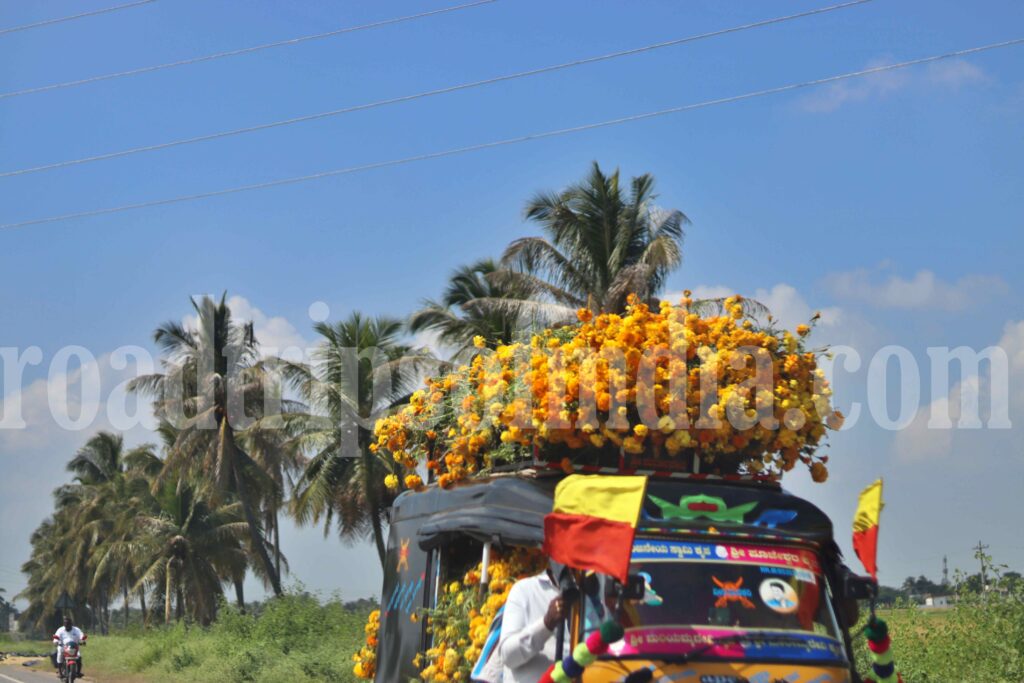 view on the way to hampi,
roadtripsofindia.om
