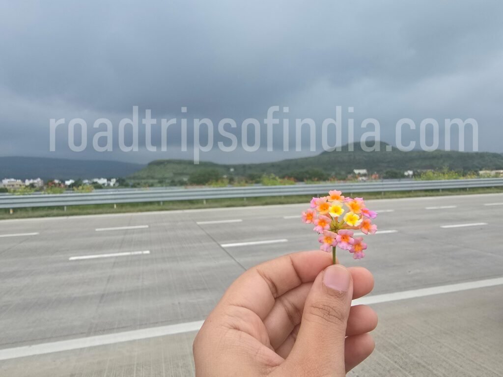 Trimbakeshwar Jyotirlinga
roadtripsofindia.com