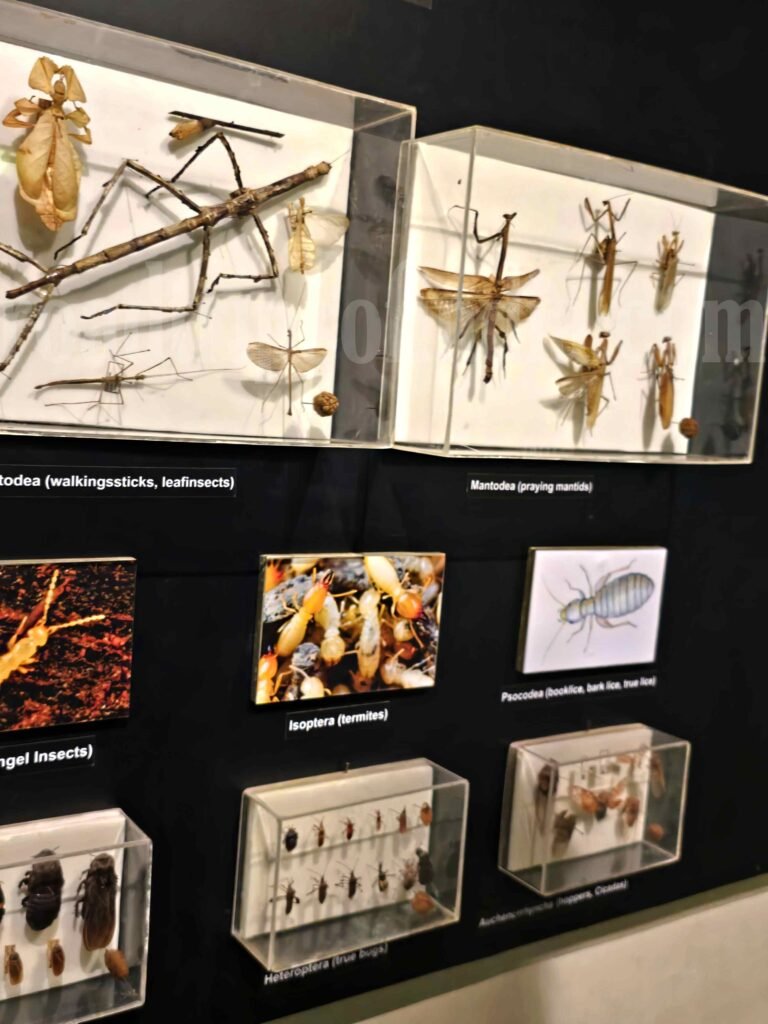  Colombo National Museum
roadtripsofindia.com