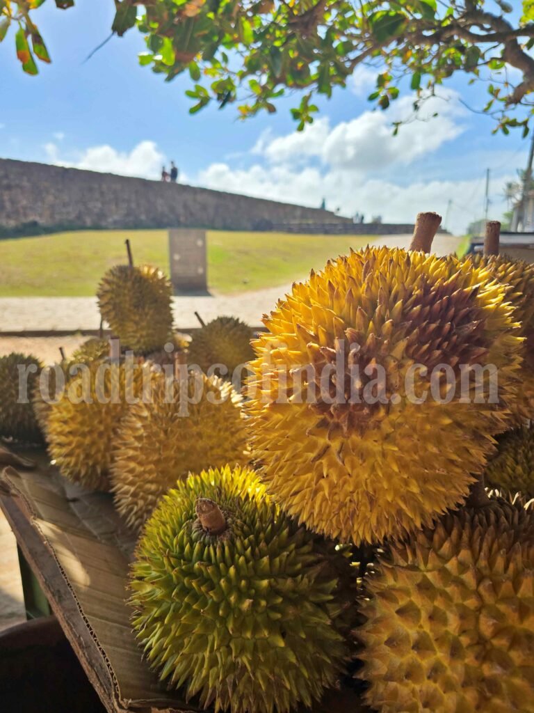 Sri Lanka Food, roadtripsofindia.com