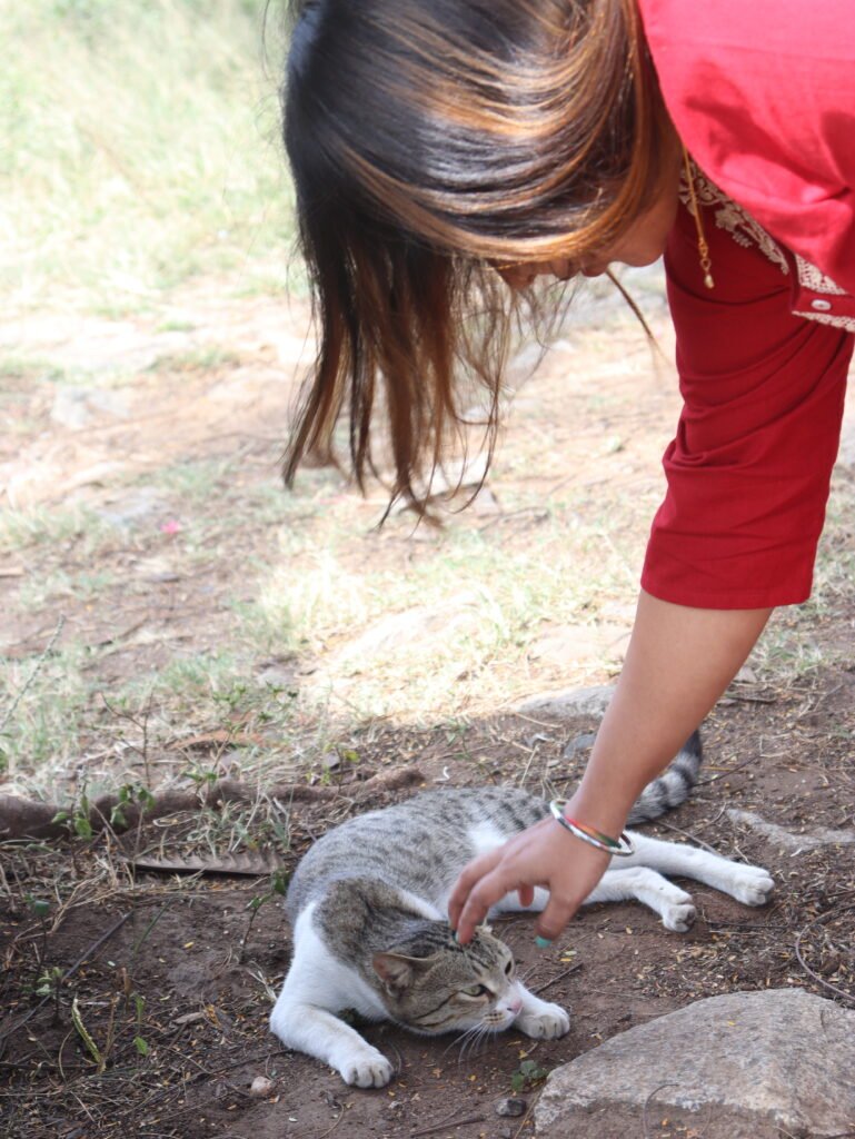 Ooty Attractions, roadtripsofindia.com