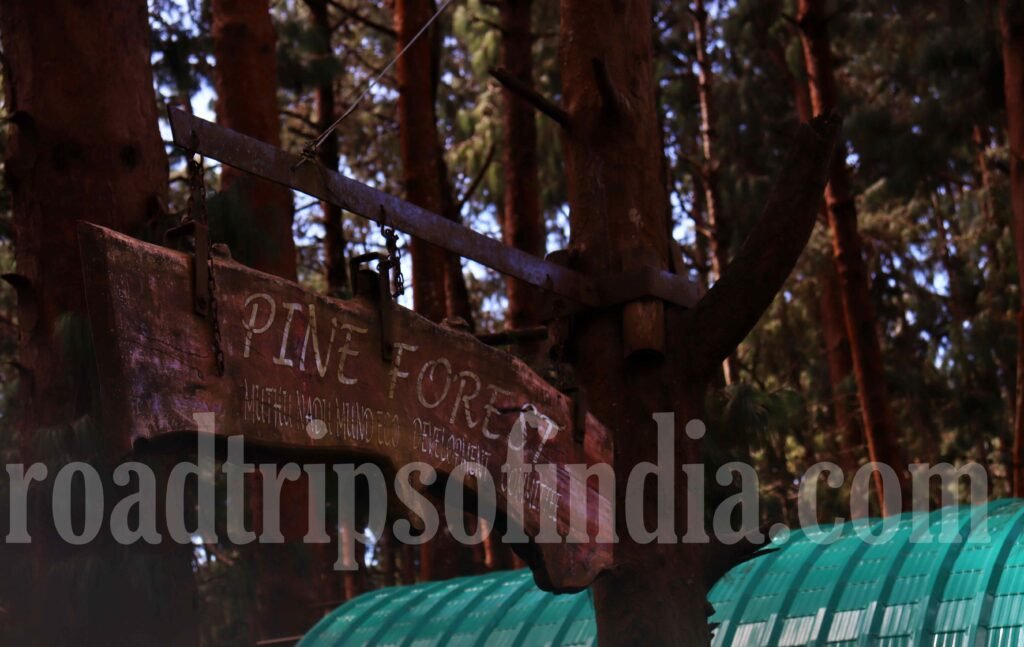 Ooty Attractions, roadtripsofindia.com