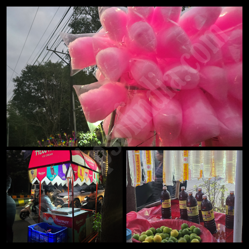 Botanical Garden Hyderabad, roadtripsofindia.com