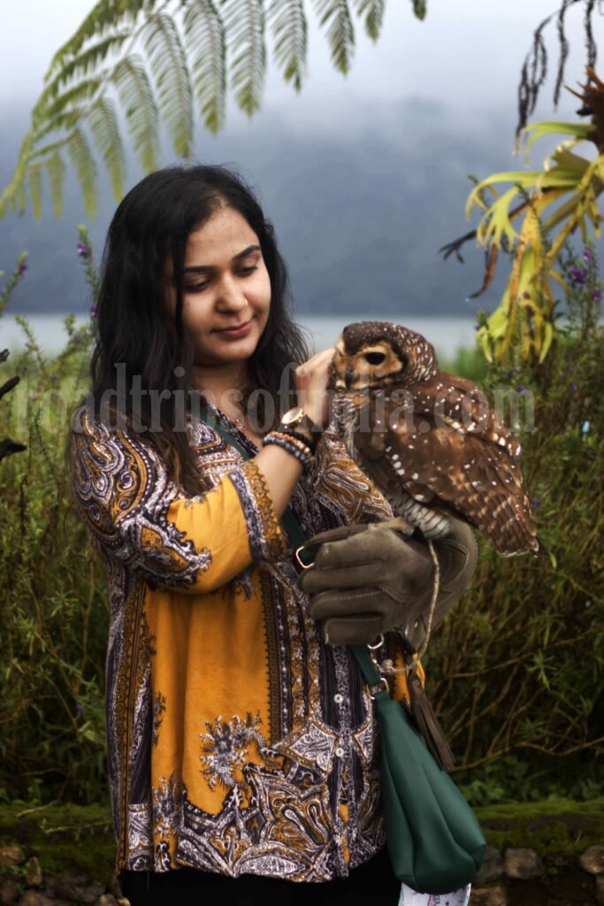 ulun danu beratan temple, roadtripsofindia.com