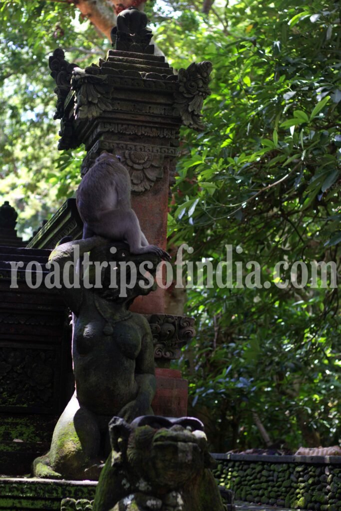 Sacred Monkey Forest Sanctuary, roadtripsofindia.com