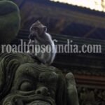 Sacred Monkey Forest Sanctuary, roadtripsofindia.com