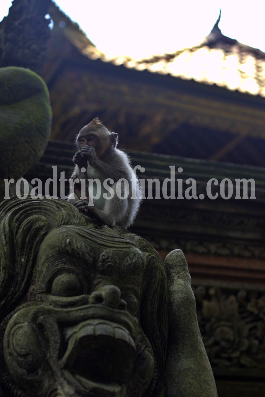 Sacred Monkey Forest Sanctuary, roadtripsofindia.com