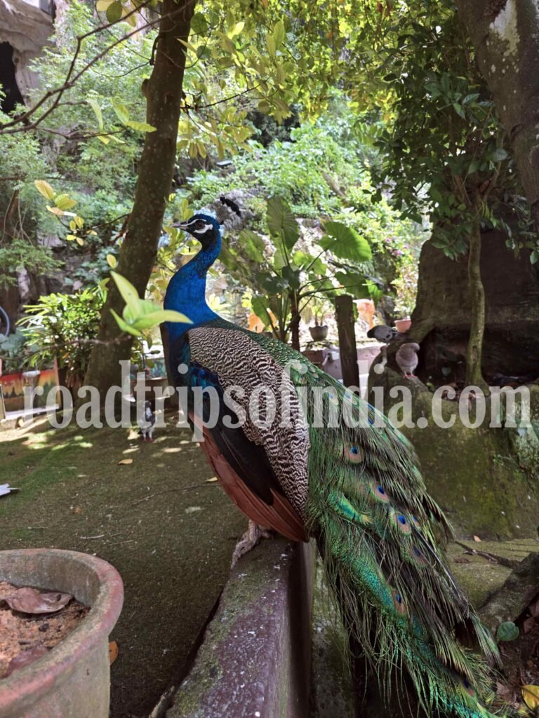 Malaysia Batu Caves, roadtripsofindia.com