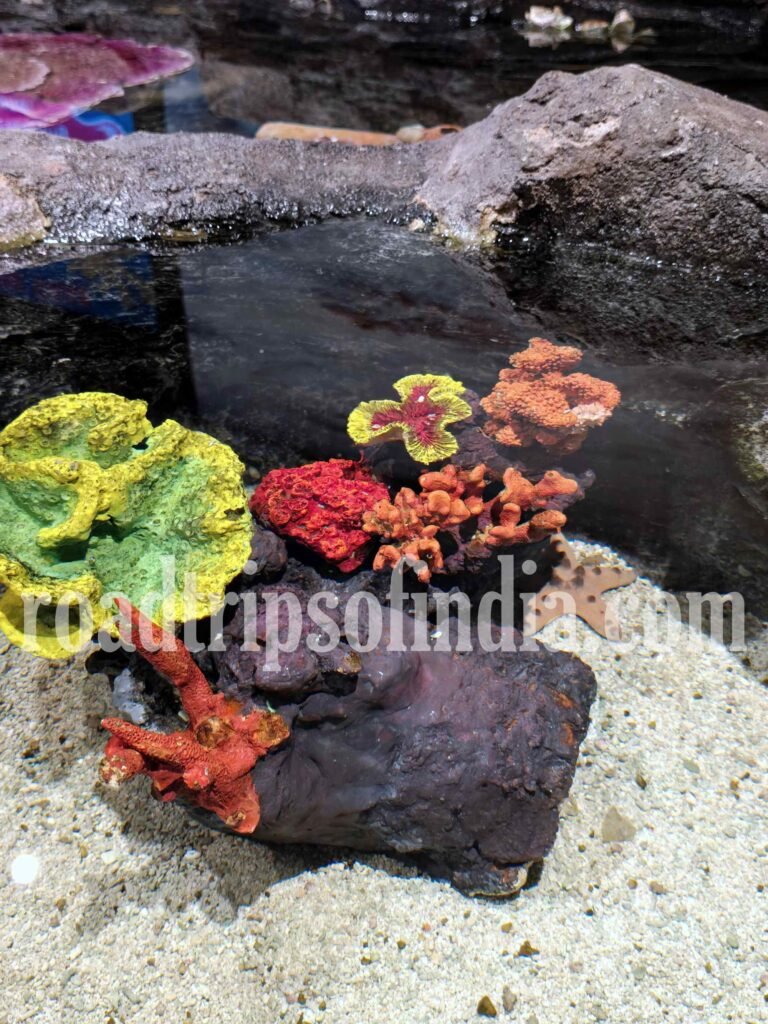 Aquaria KLCC in Kuala Lumpur roadtripsofindia.com