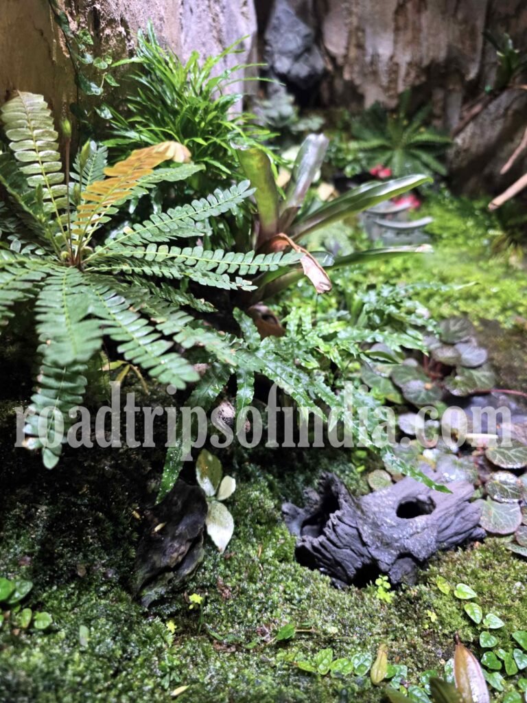 Aquaria KLCC in Kuala Lumpur roadtripsofindia.com