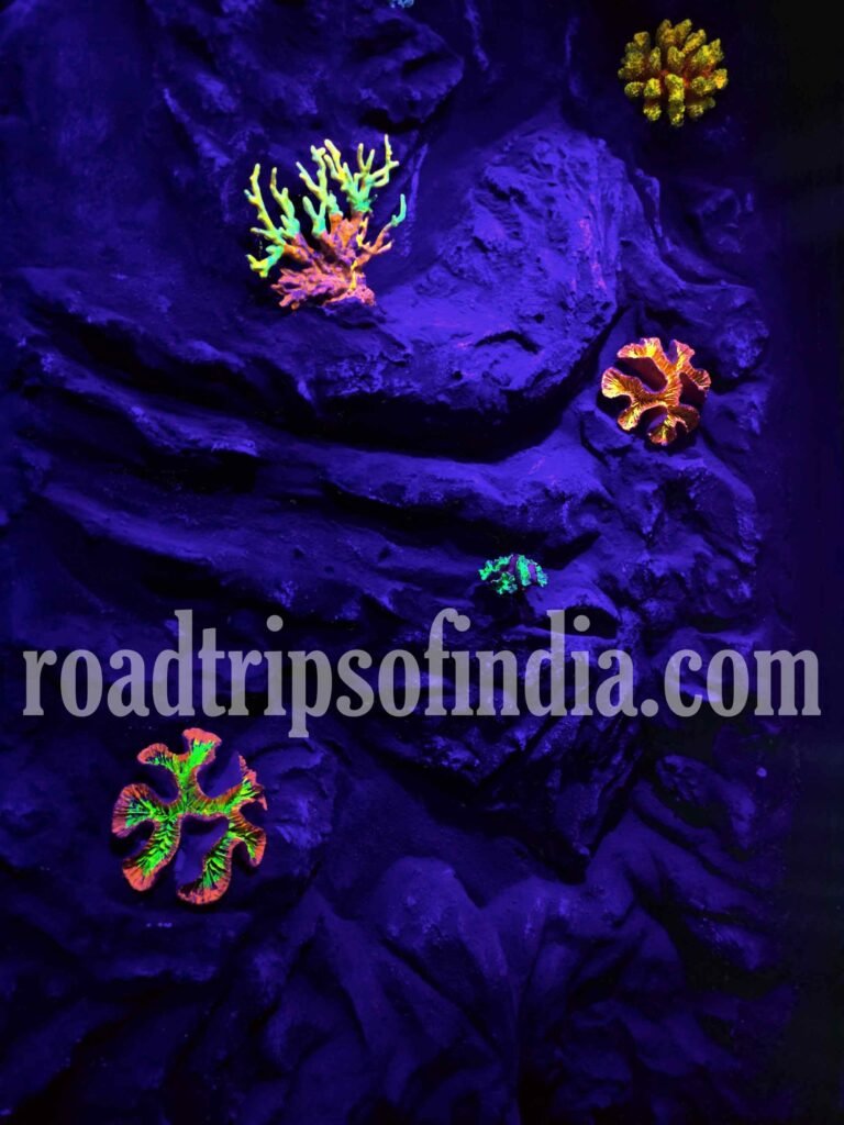 Aquaria KLCC in Kuala Lumpur roadtripsofindia.com