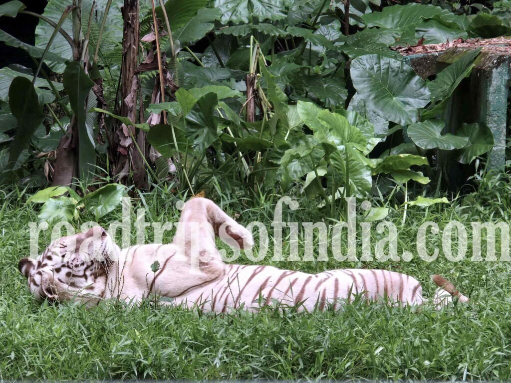Zoo Negara Malaysia