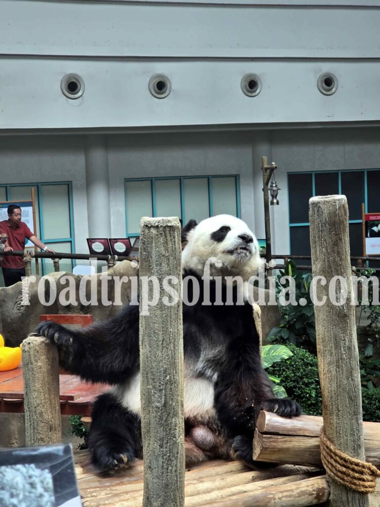 Zoo Negara Malaysia