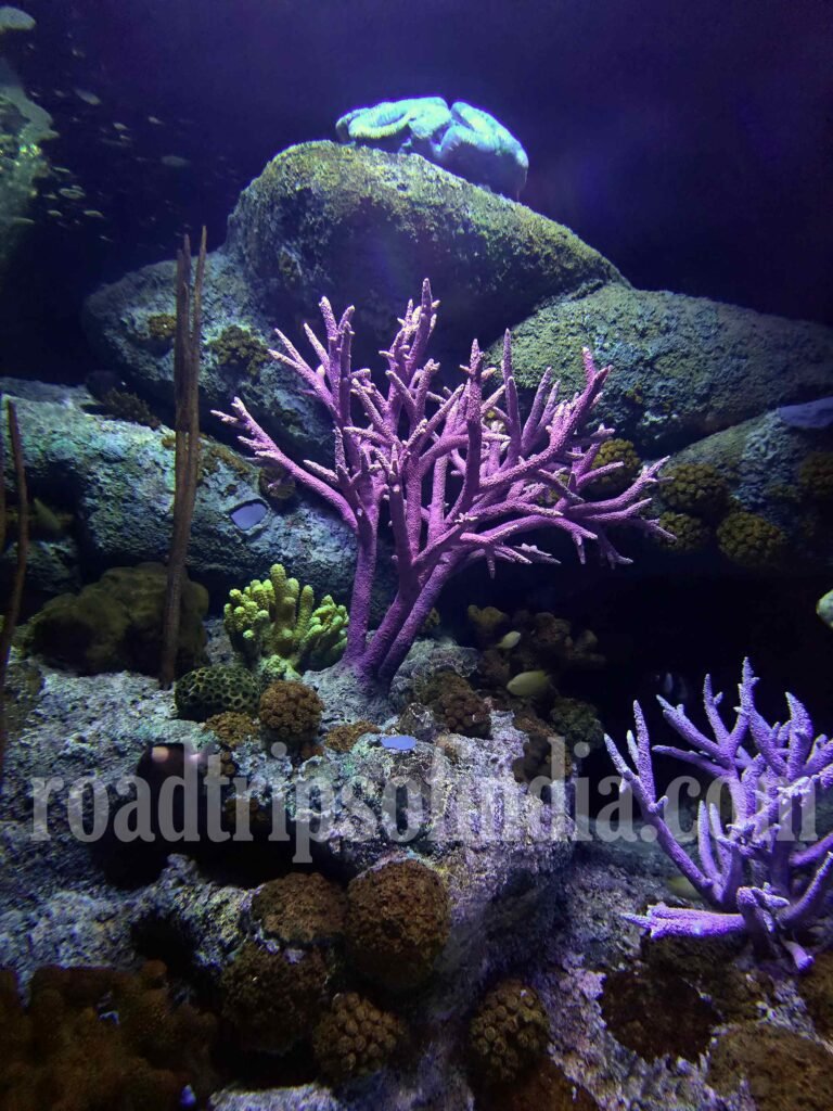 Underwater World Pattaya