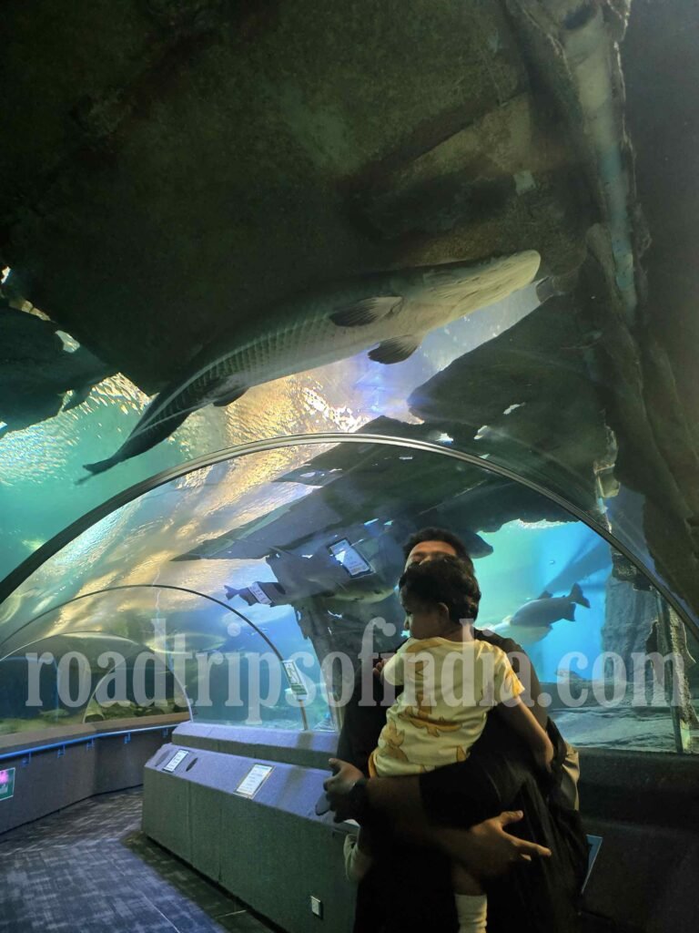 Underwater World Pattaya