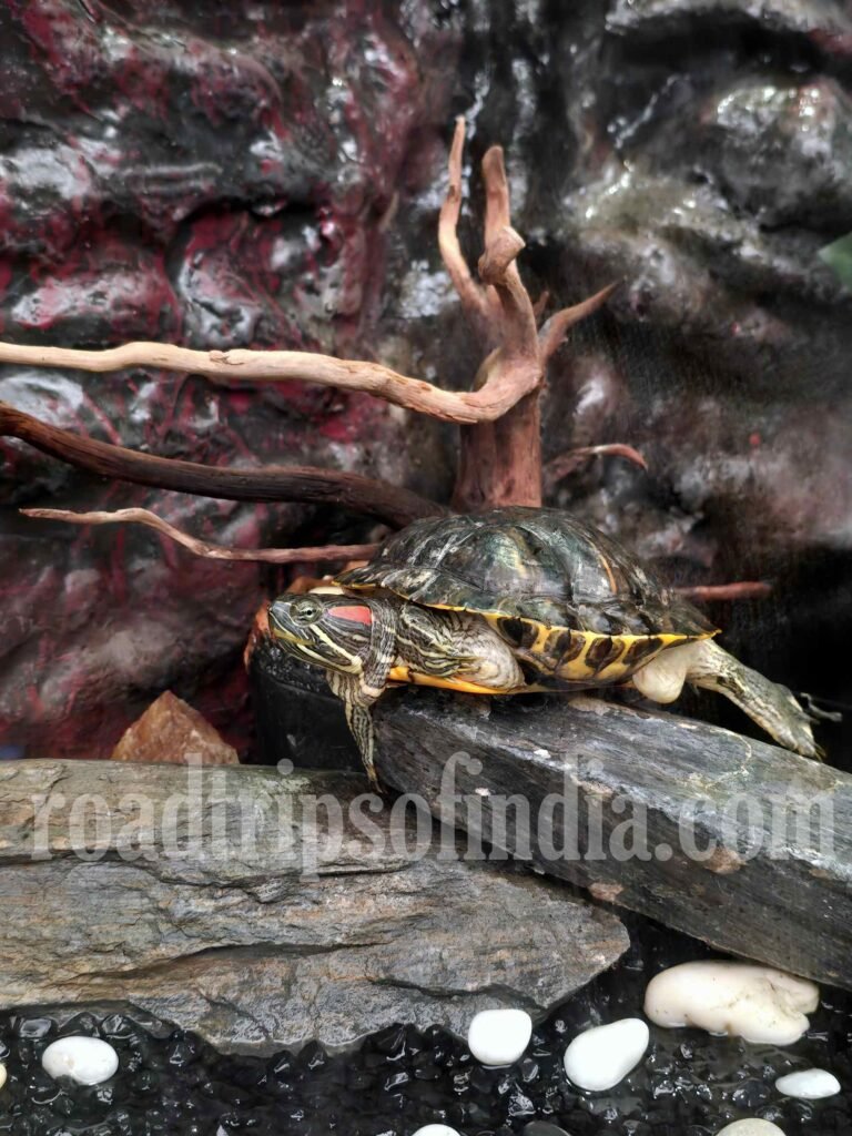 Underwater World Pattaya