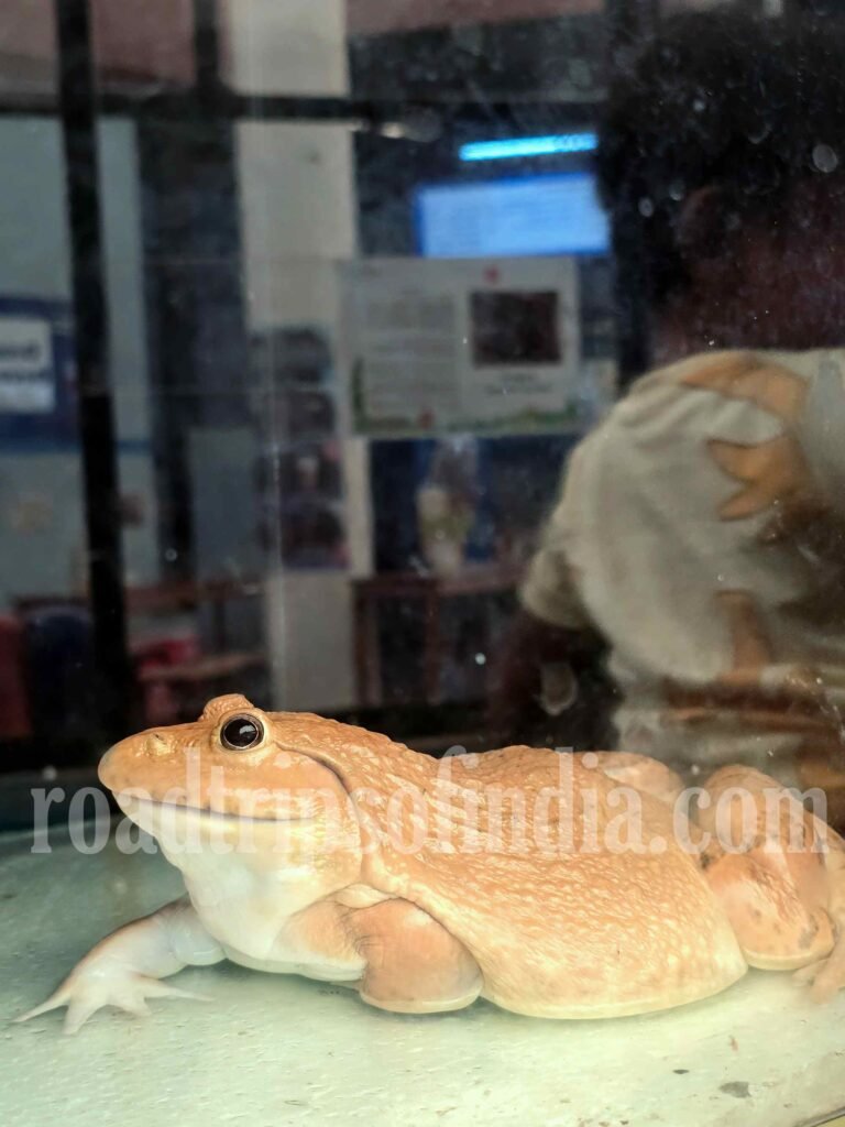 Underwater World Pattaya