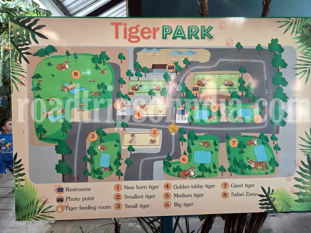 tiger park pattaya