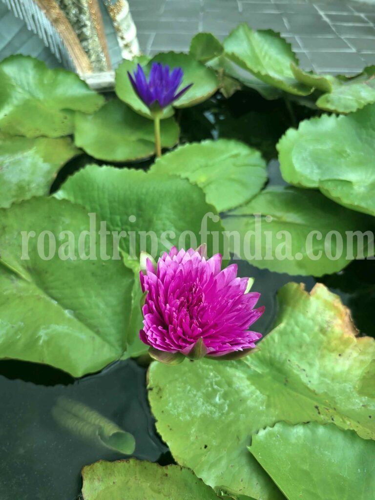 bangkok temple wat arun