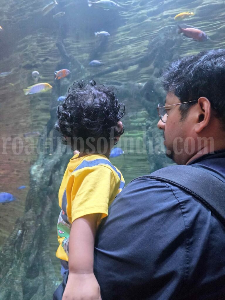 The Green Planet Dubai