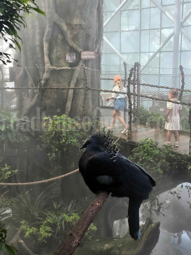 The Green Planet Dubai