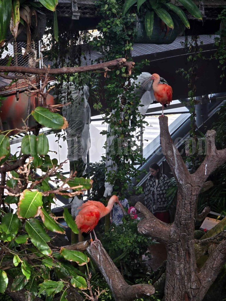 The Green Planet Dubai