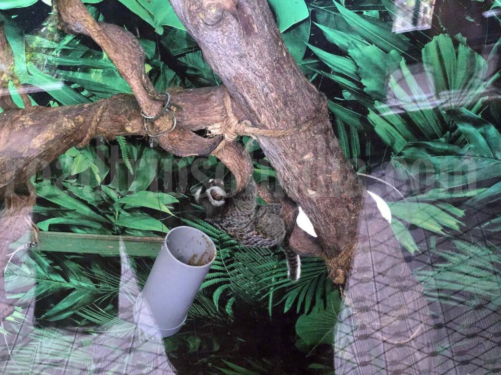 The Green Planet Dubai