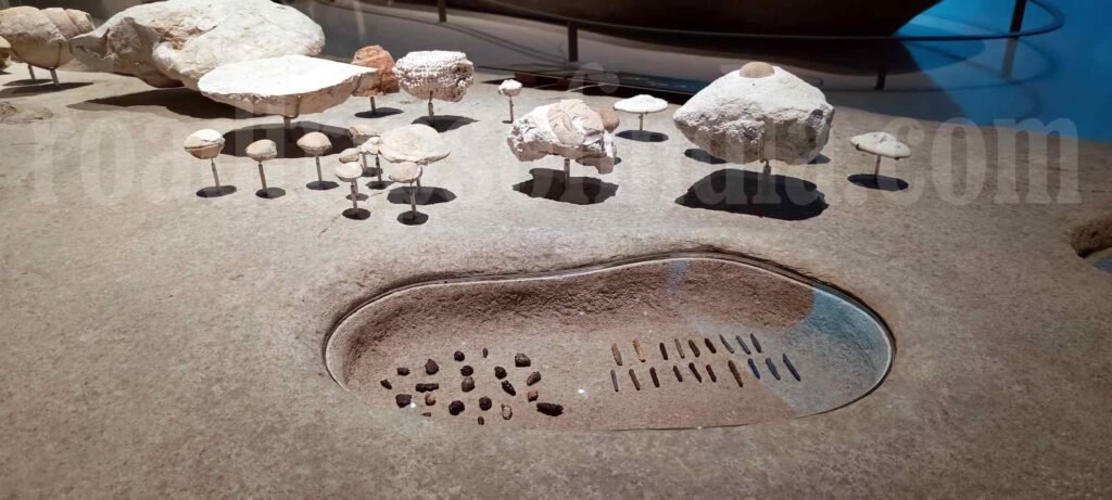 National Museum of Qatar, roadtripsofindia.com