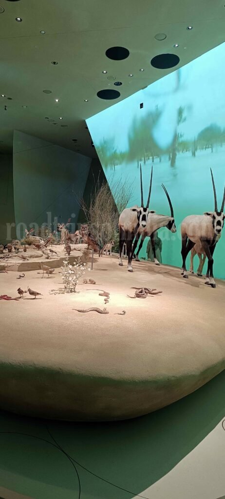 National Museum of Qatar, roadtripsofindia.com
