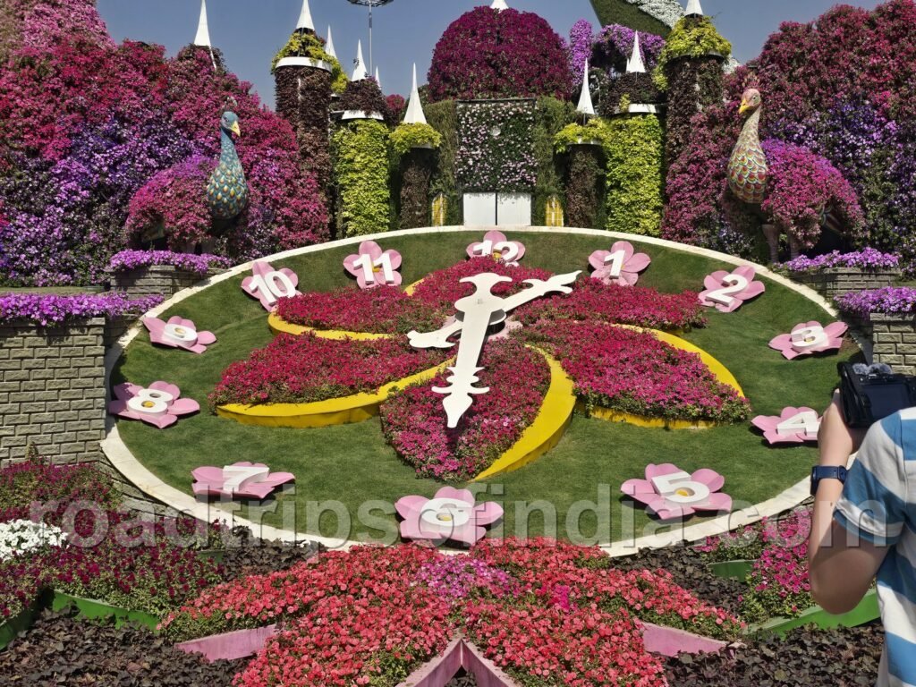 dubai miracle garden emirates