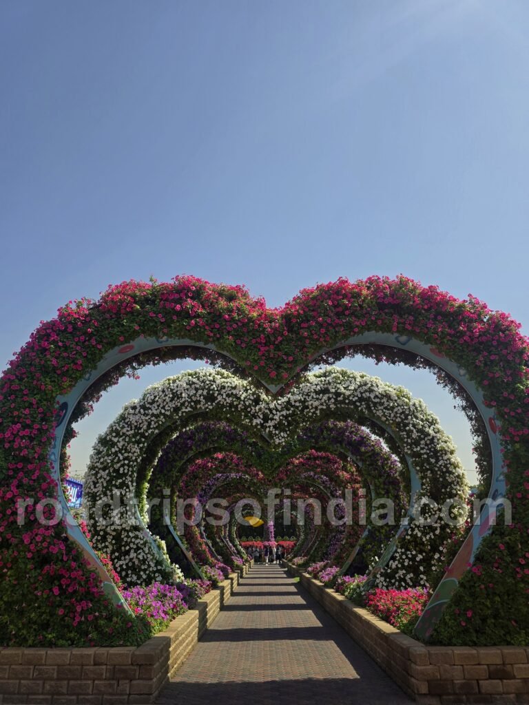dubai miracle garden emirates