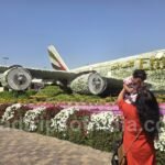 dubai miracle garden emirates