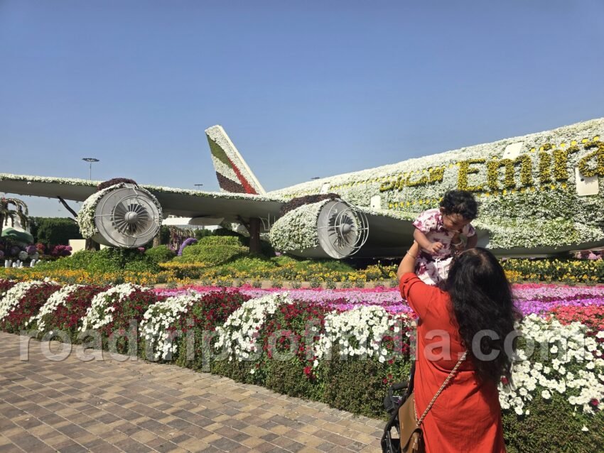 dubai miracle garden emirates