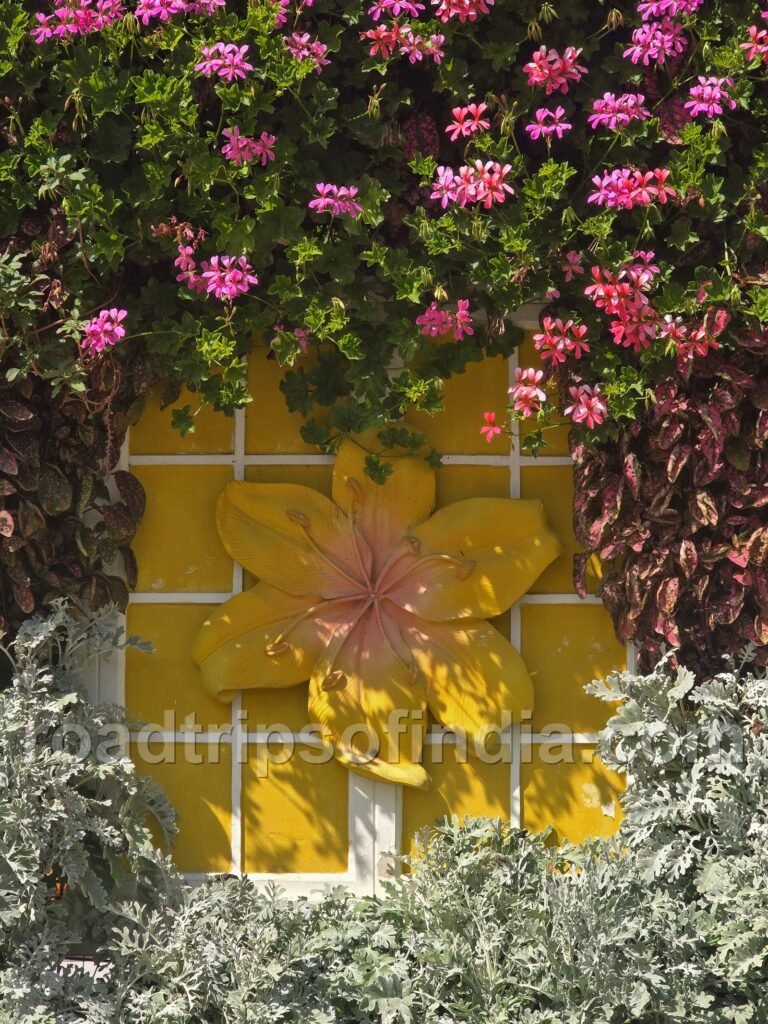 dubai miracle garden emirates