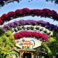 Butterfly Garden Dubai Ticket Guide With Beautiful Tips