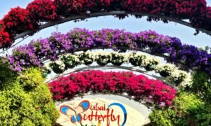 butterfly garden dubai