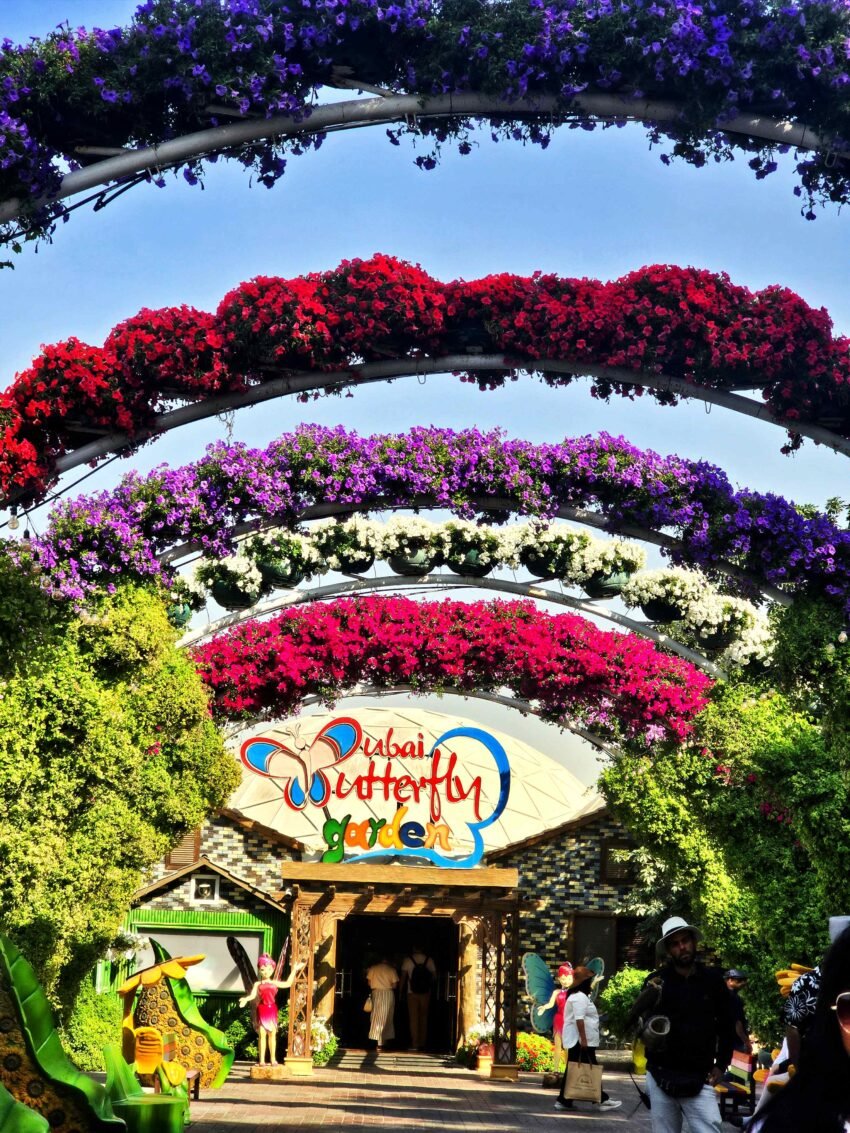 butterfly garden dubai