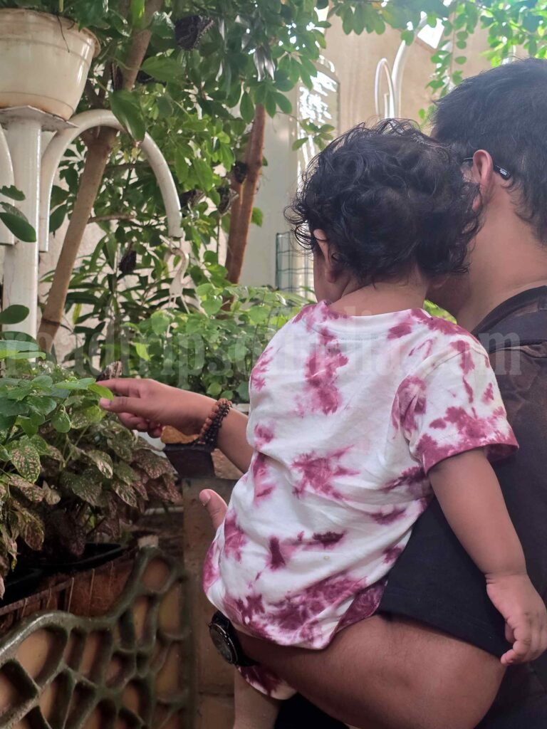 butterfly garden dubai