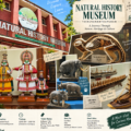 Natural History Museum Trivandrum: A Great Place for Families
