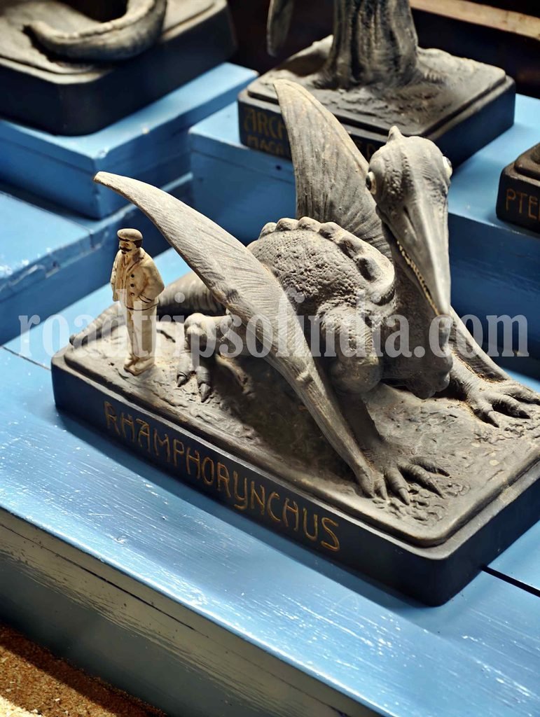 natural history museum