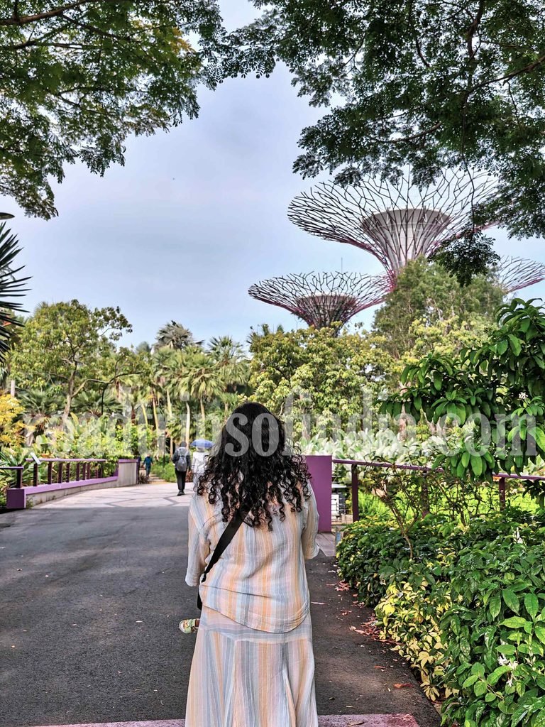 Gardens by the Bay garden