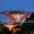 Gardens by the Bay Garden: 7 Beautiful Things to See