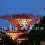 Gardens by the Bay garden