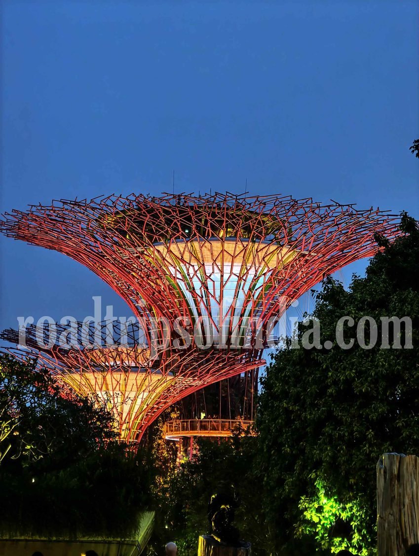 Gardens by the Bay garden